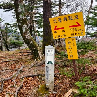 弁天の森
この先は視界不良で足が重い