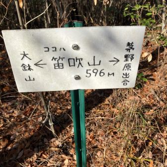 まだまだ行くぞー