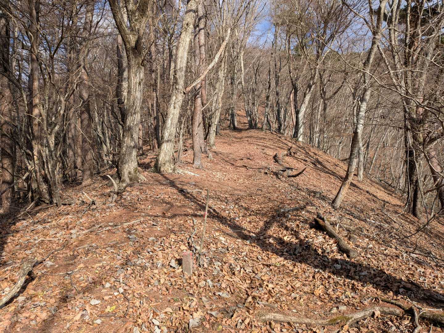 ほとんどの人が御正体山に向かった
一人今倉山へ
ここから赤岩までは初めて