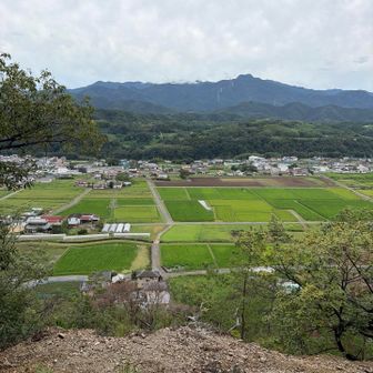 こんな感じで景色をみながらハイキングできます🥾