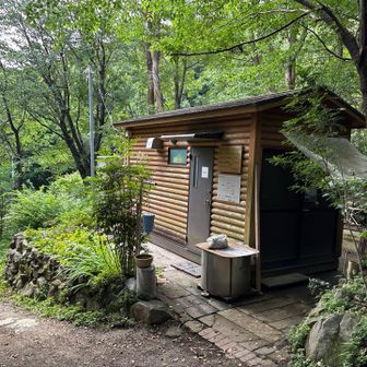 分岐のトイレ