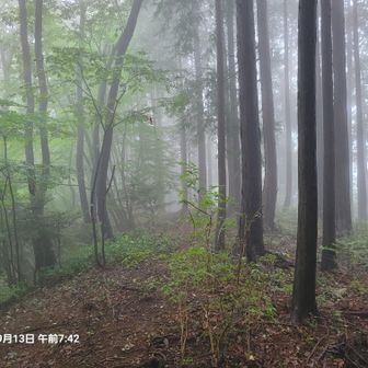 ツチラ山