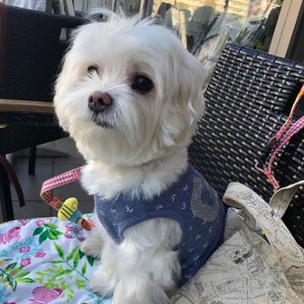 蘭丸くんお姉ちゃん