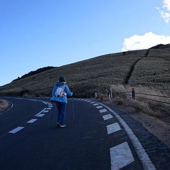 一部、西伊豆スカイラインを歩きます。強風にあおられて、路肩からずいぶん出てしまいました。気をつけなきゃ。