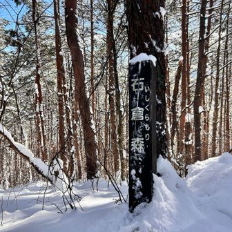 100m先だからあっという間に🙌