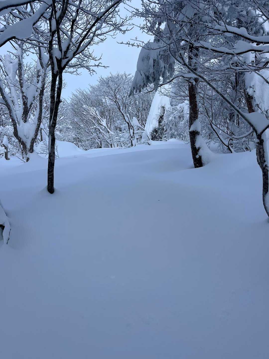 北面白山登山入口-三沢山 往復コースの写真