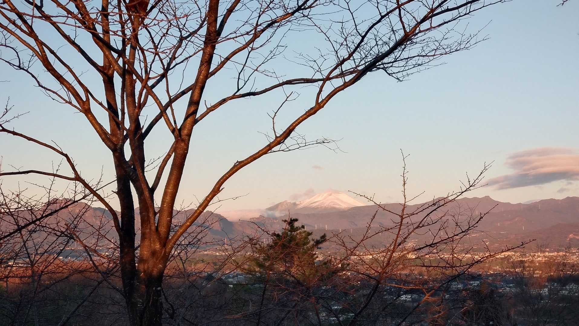 崇台山 往復コースの写真