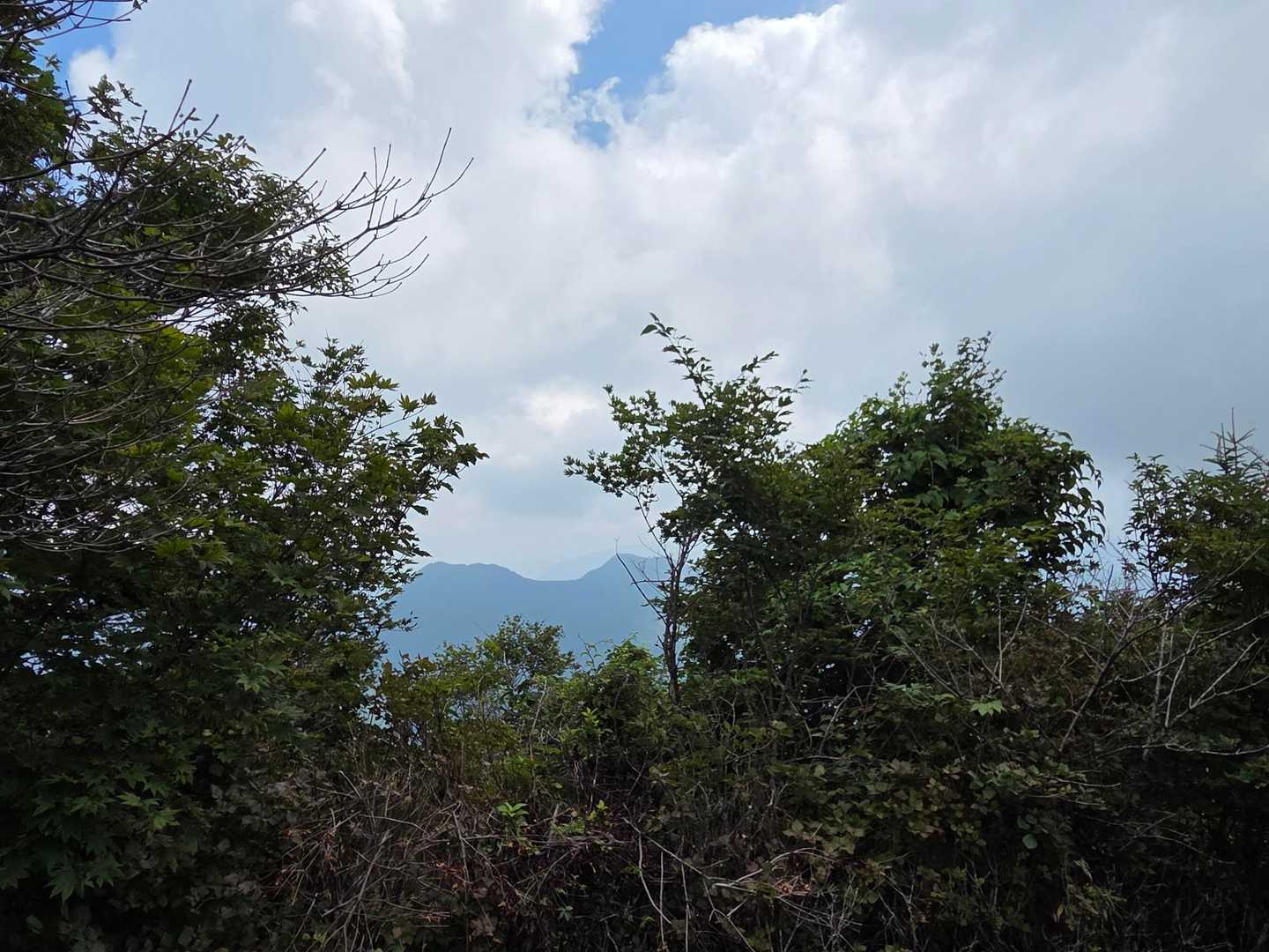山頂からほとんど景色が見えません😅
四国の１００名山はすべて眺望良しと思っていました😅