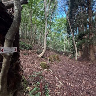 廃村八丁方面。よく歩かれている様子