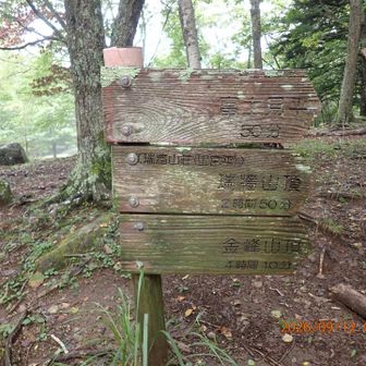 瑞牆山頂まで2時間50分と書いてあるけどその時間で登るのは厳しい