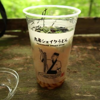 ここでランチにします
2年ぶりに復活した(やった！)丸亀製麺のシェイクうどん(明太とろろ)390円！安い！