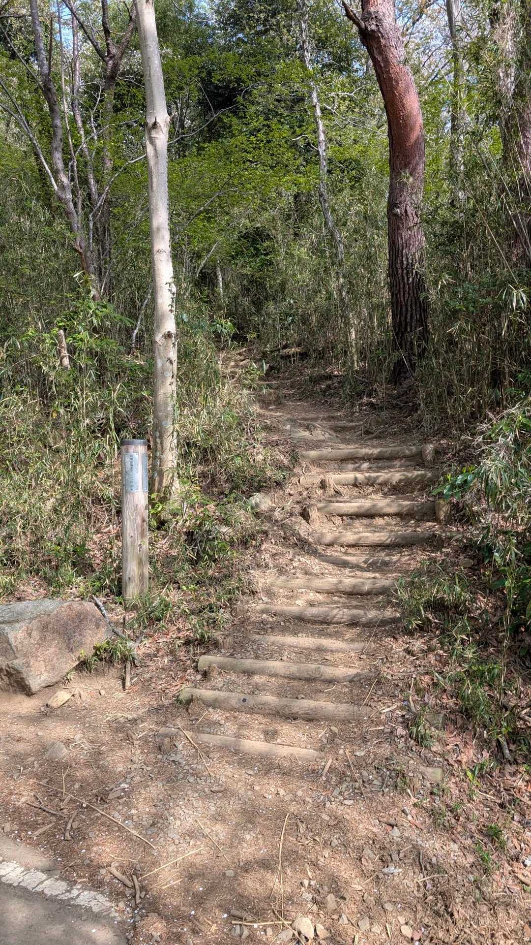 なんか足が前に進まんのよ😵