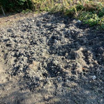 雨の日には混んでそう🐗♨️