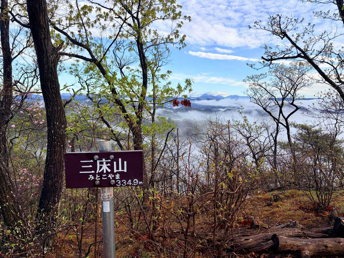 出尾根コース登山口-三床山-天ヶ岳-林山-金原山 周回コースの写真