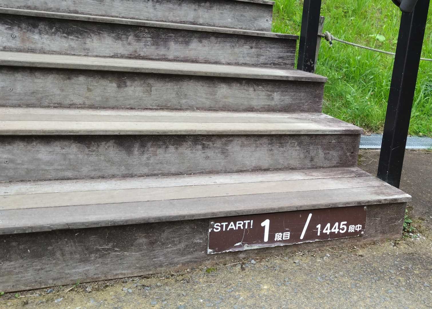 はじめの一歩☝️