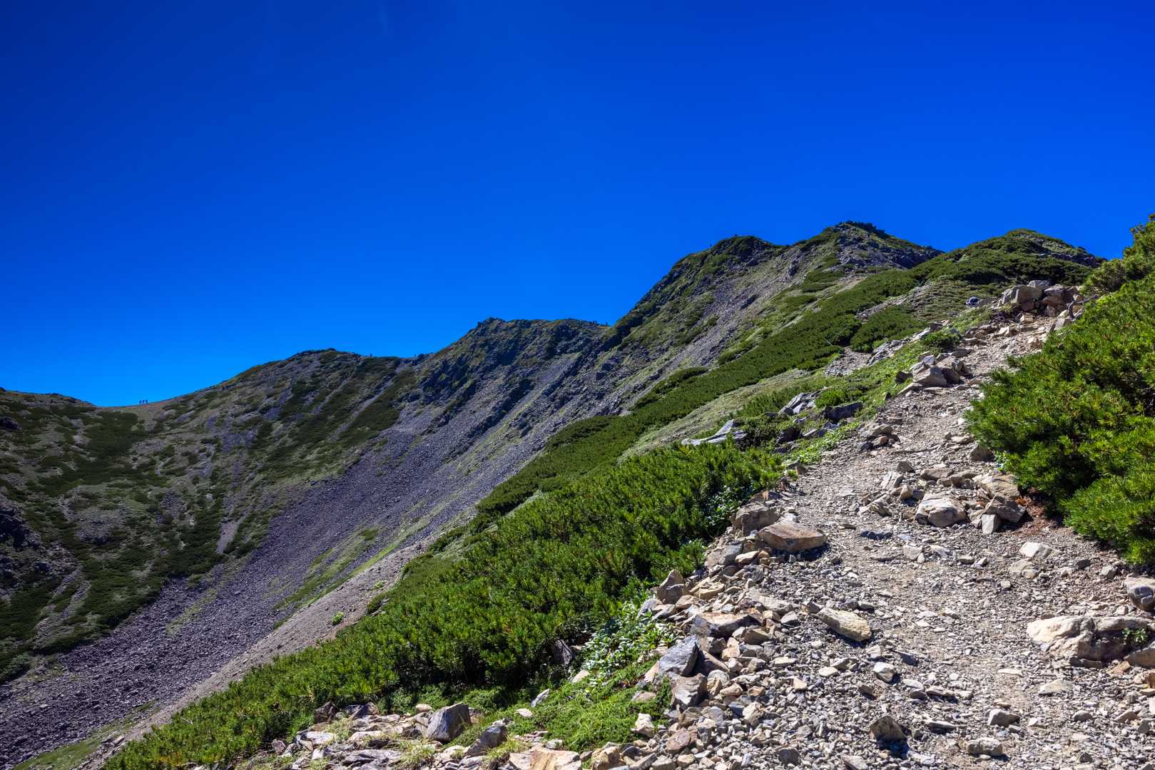 真ん中の高いところが山頂です。