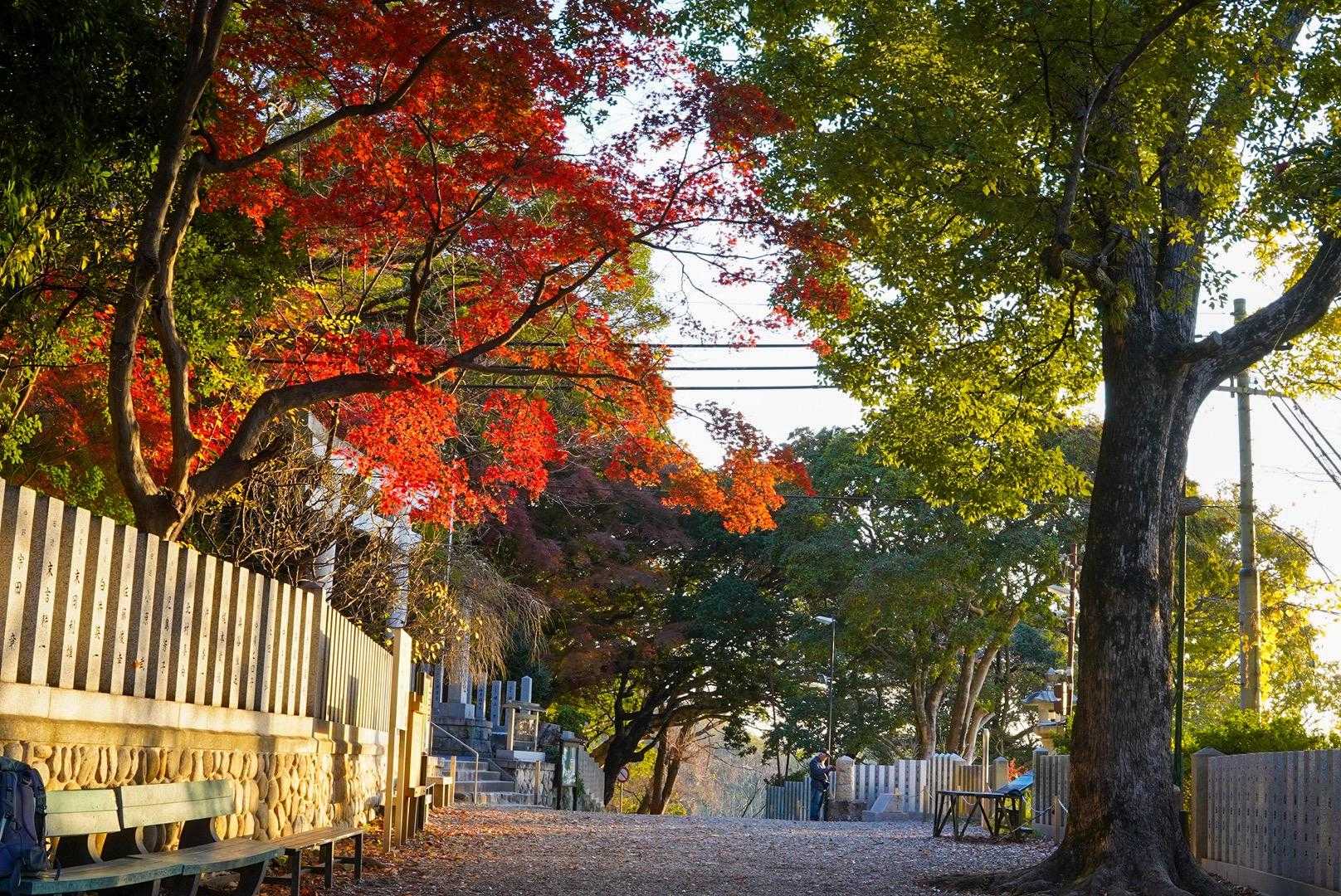 まだ紅葉綺麗です🍁