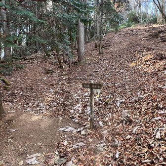 舟井戸

右へ登ると鋸尾根
左が鳩ノ巣方面