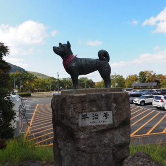 平治号🐶