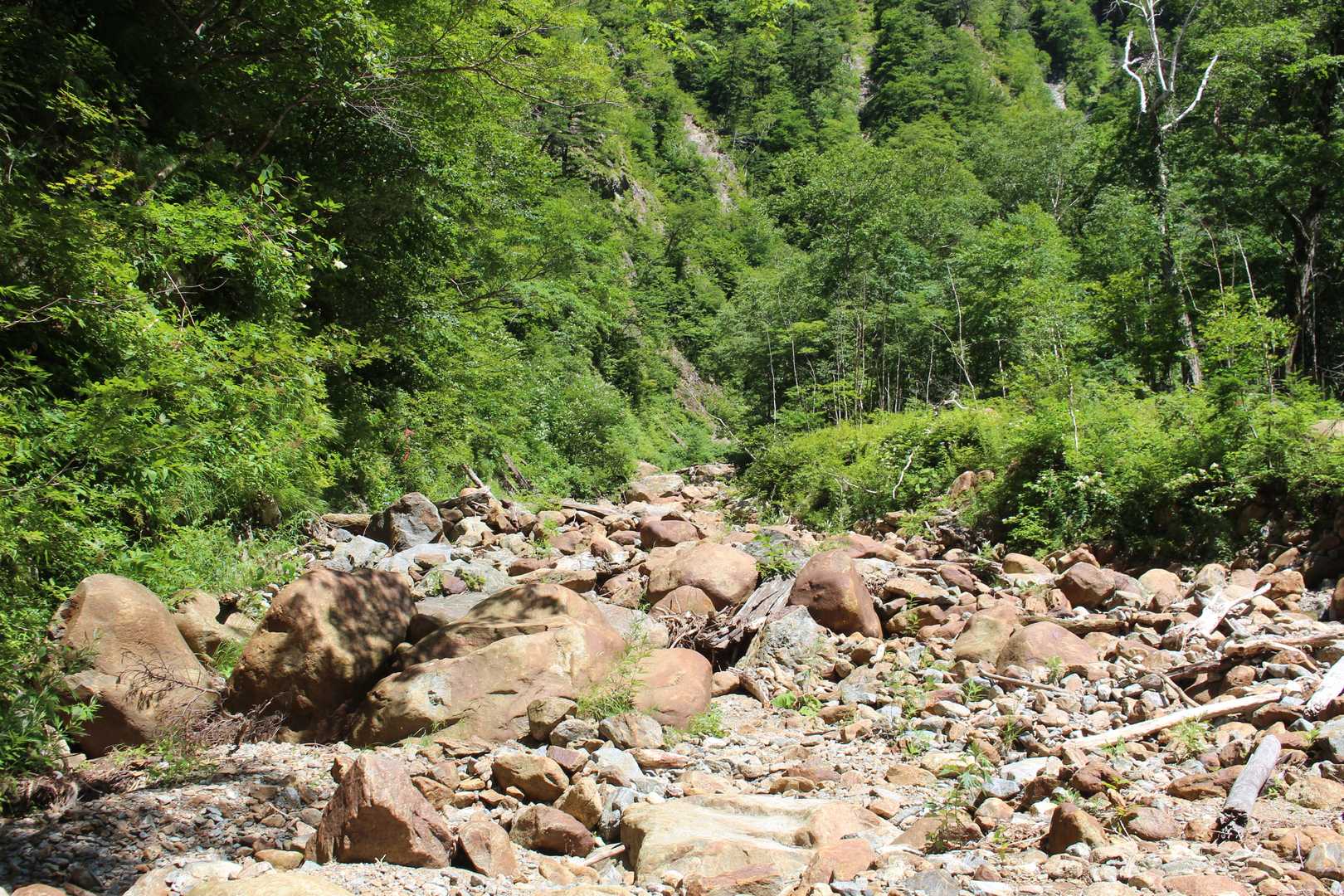 登ってきた道を振り返る
