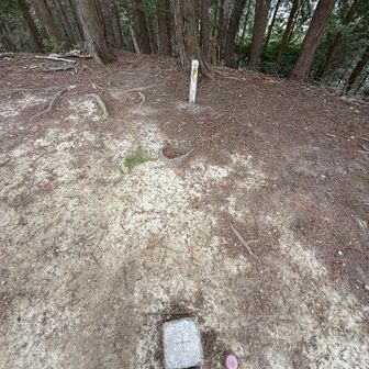 伊勢山353m 山頂△