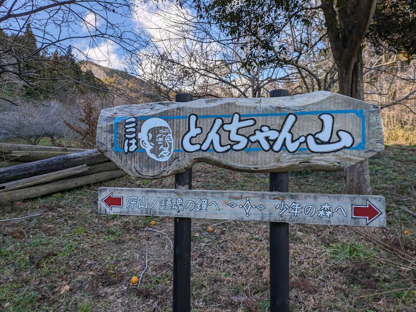 👴も山が欲しいのよ
