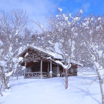 冬の間も開放して欲しい😆