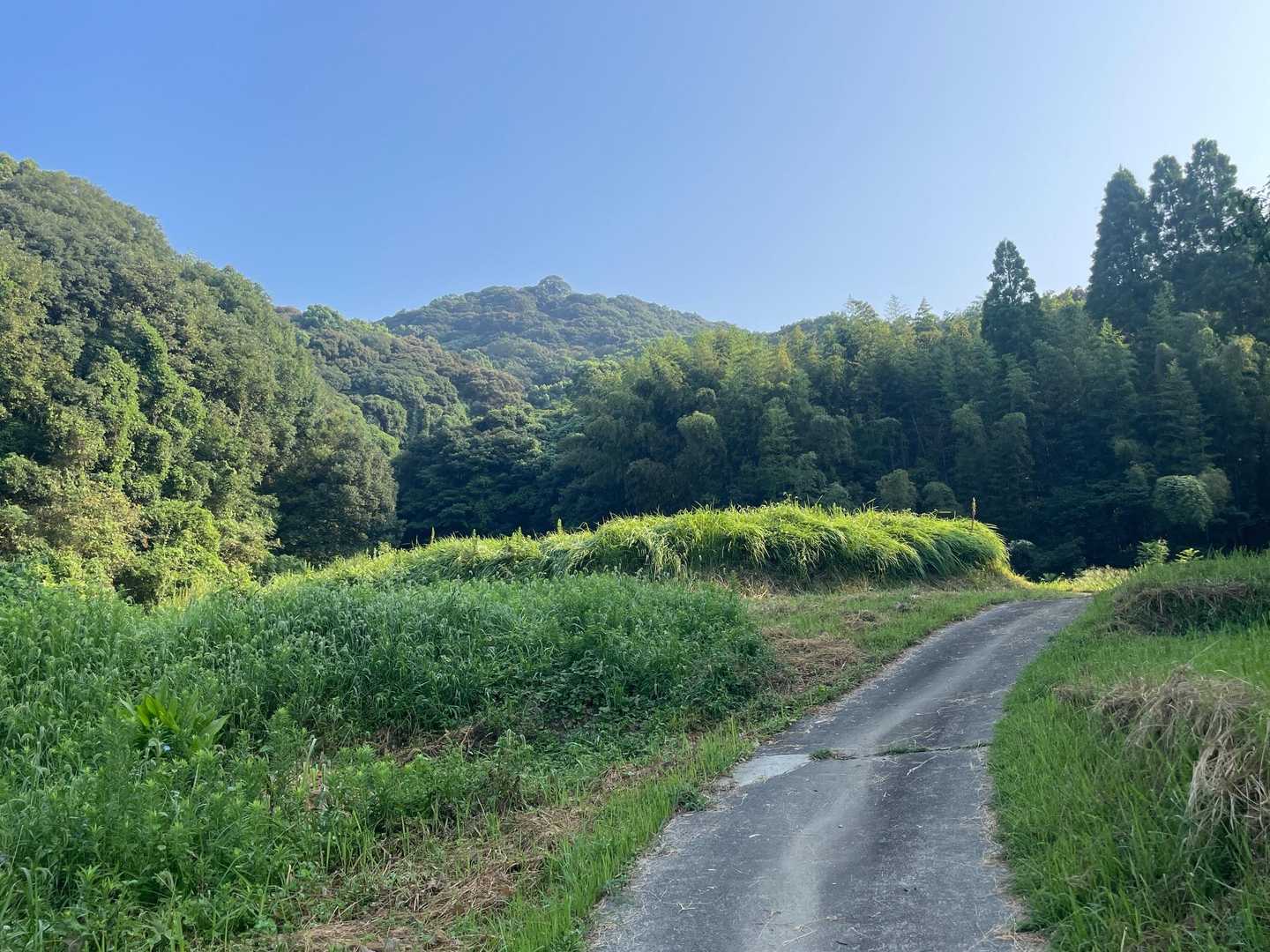 しばし舗装路歩いて🚶