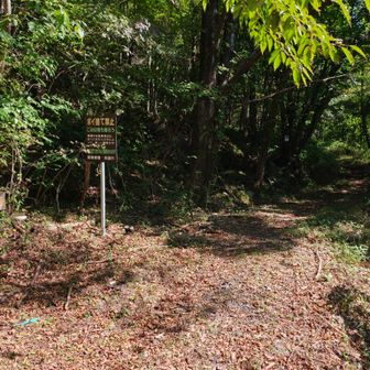 上の登山口