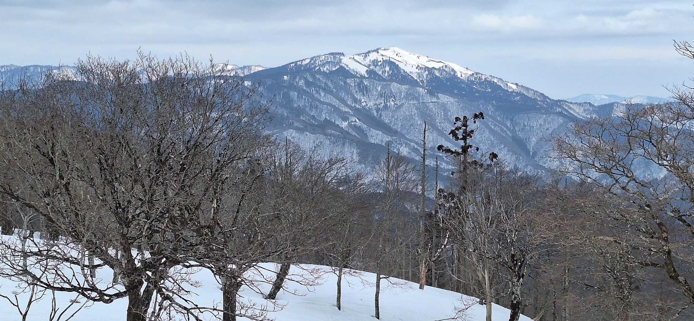 山容が良すぎ🎶