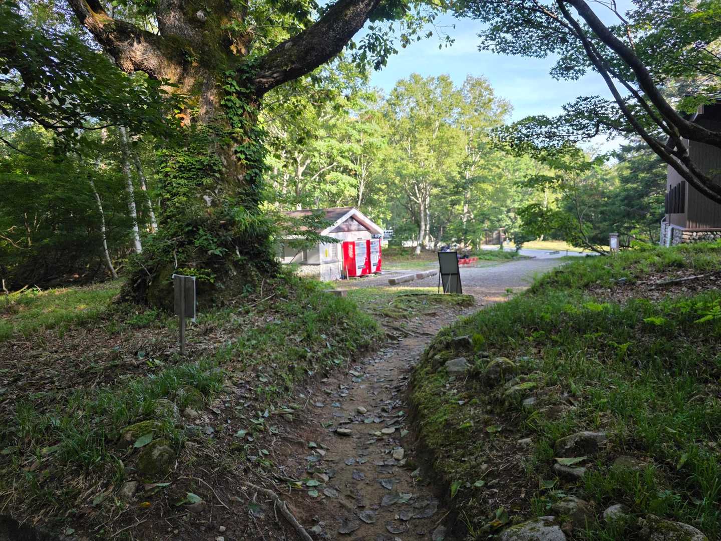無事に下山、山時間を満喫しました

ありがとうございました!