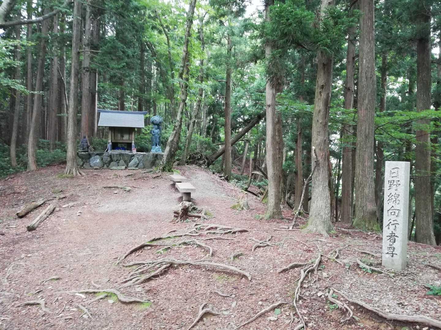 四季折々の景色を楽しみたい表参道コースの写真
