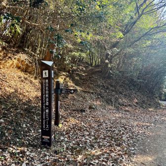 大回りして細江コースの登山口へ