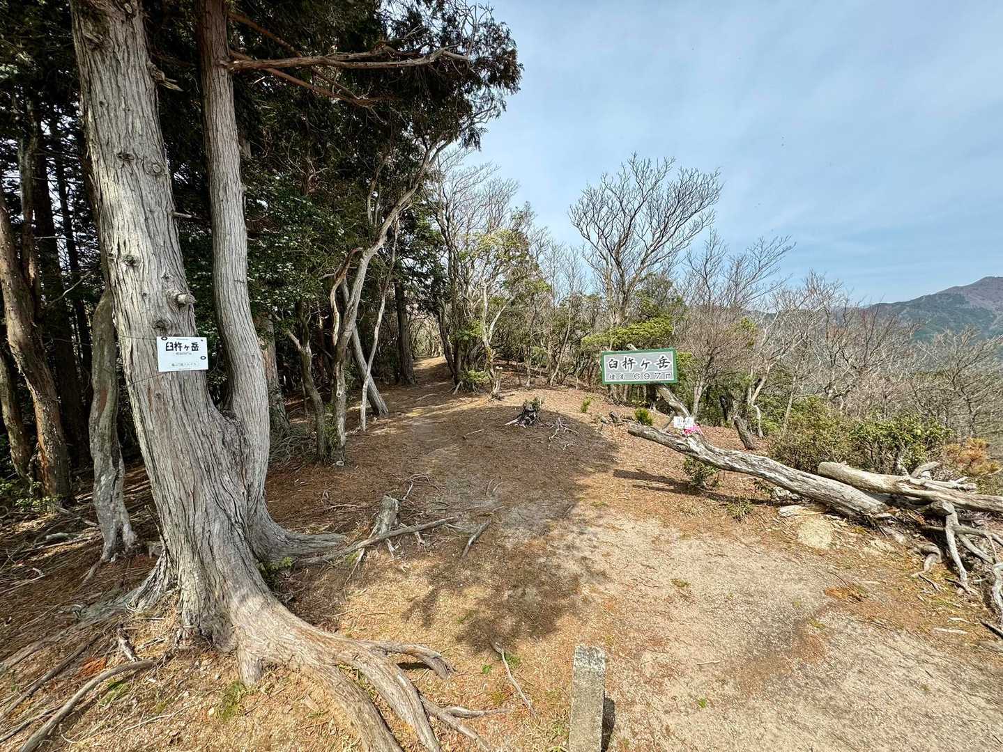 臼杵ヶ岳 往復コースの写真