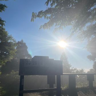 予報通り、良い天気になりそうだ
