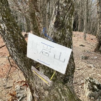 蔦岩山
油性極太✒️マジックでなぞってあげたい