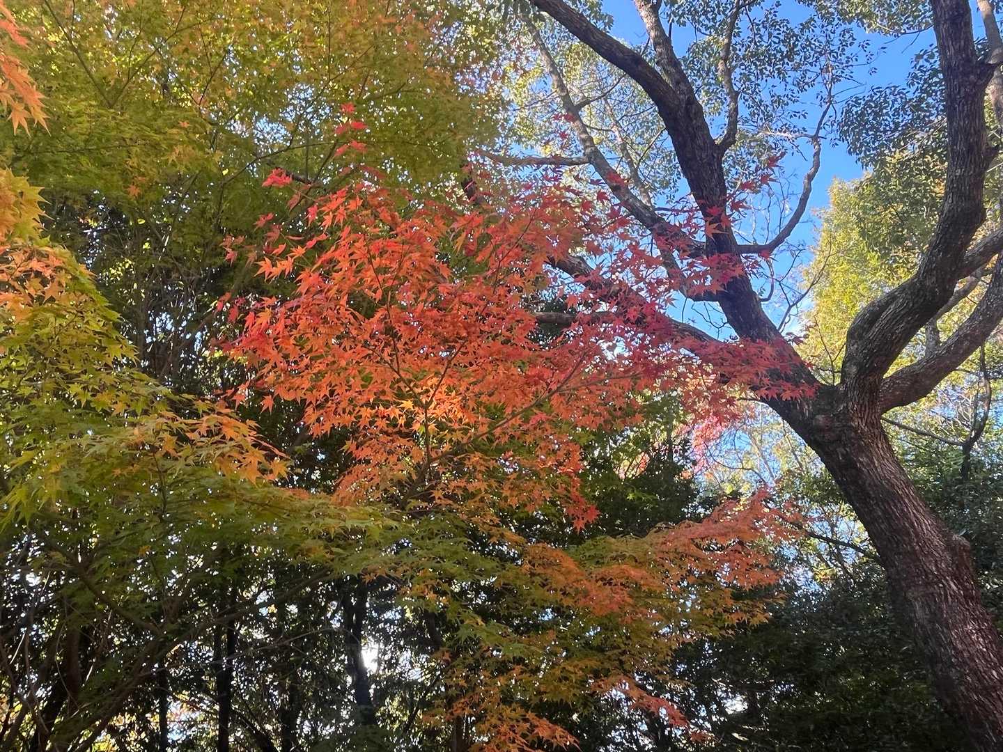 キレイ✨