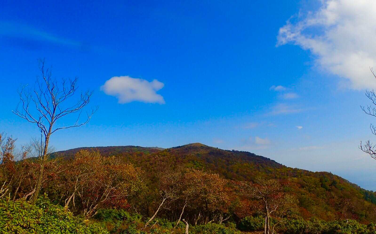 ホッケ山の写真