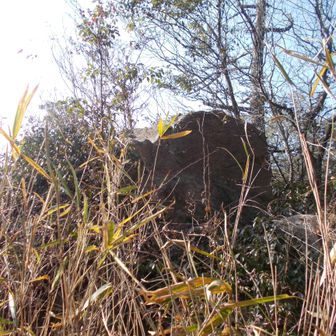 帰りのこぶし岩。すっかりお隠れになってる。