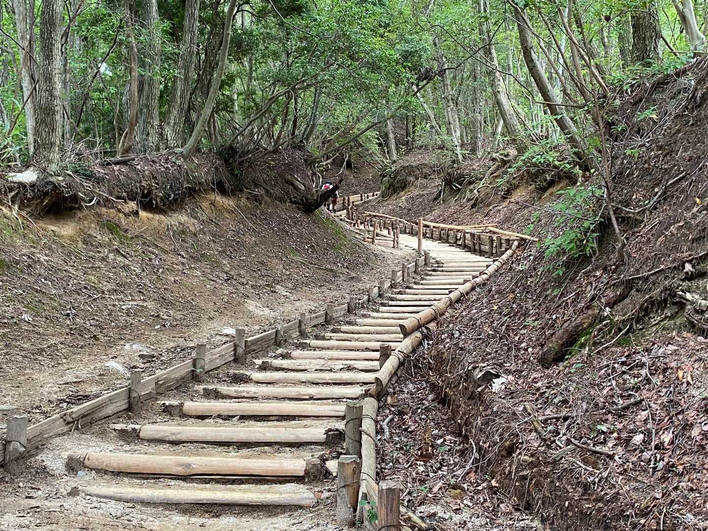 神社を後にして、千早本堂で頂上を目指す。
とてもキレイに整備されていて登りやすい。しかし、今日も登りは滝汗である。