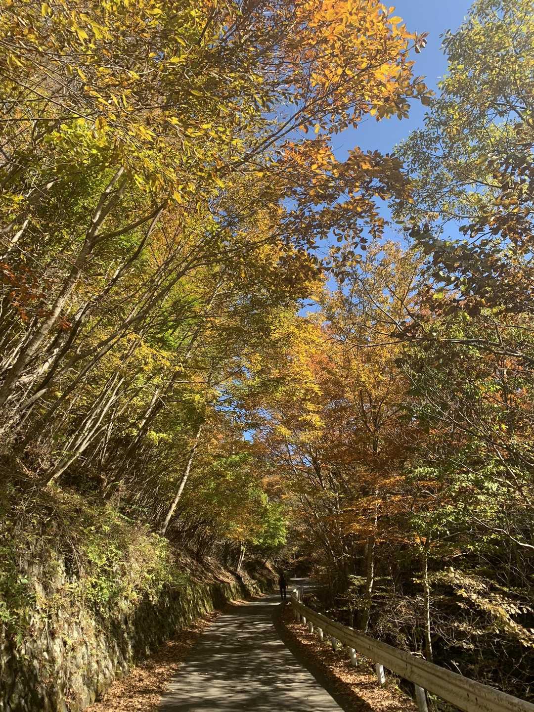 登山口付近の紅葉