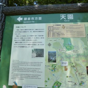 案内板！これを見ても道間違いに気が付きませんでした。