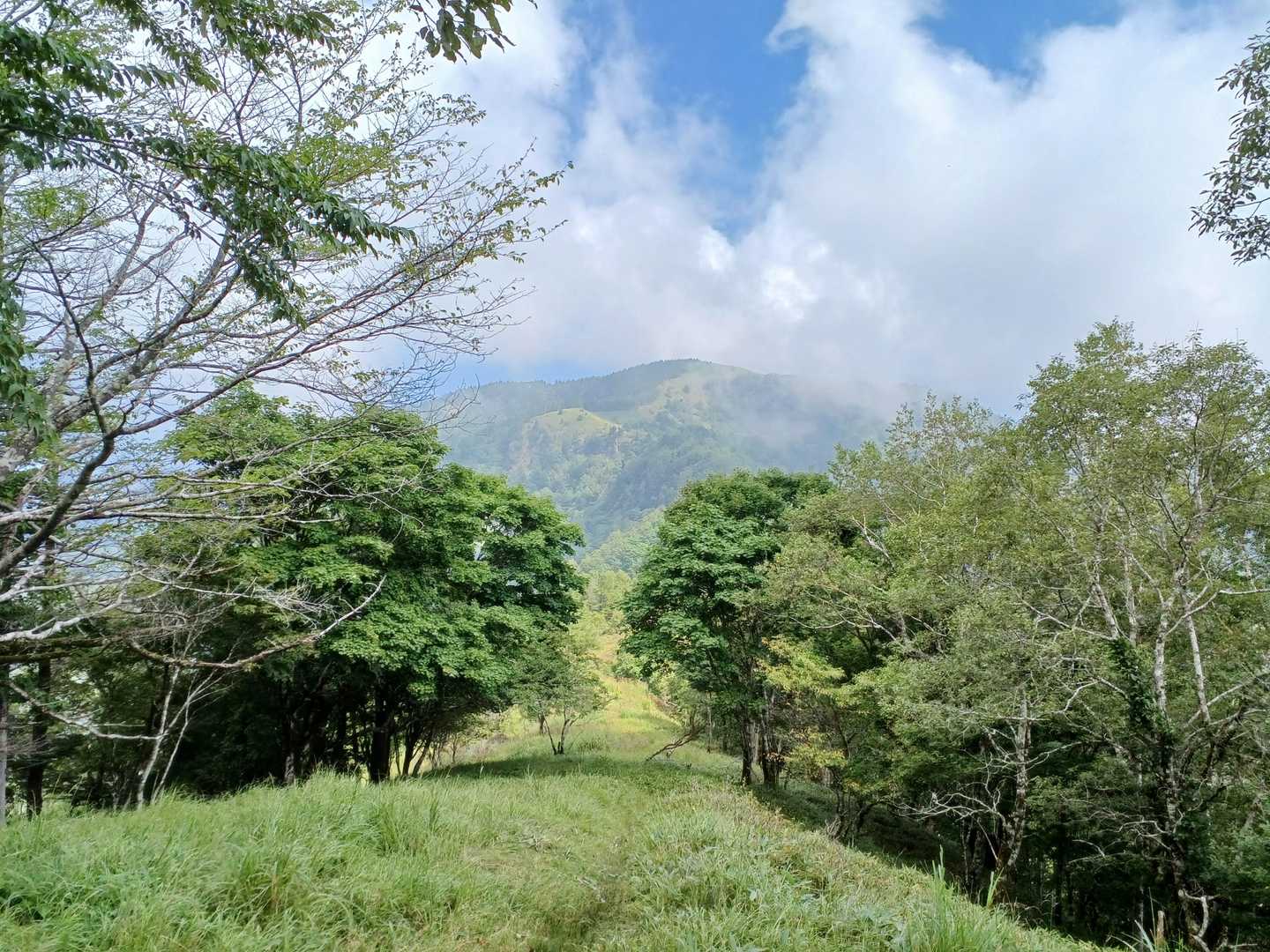 あれが茶臼山