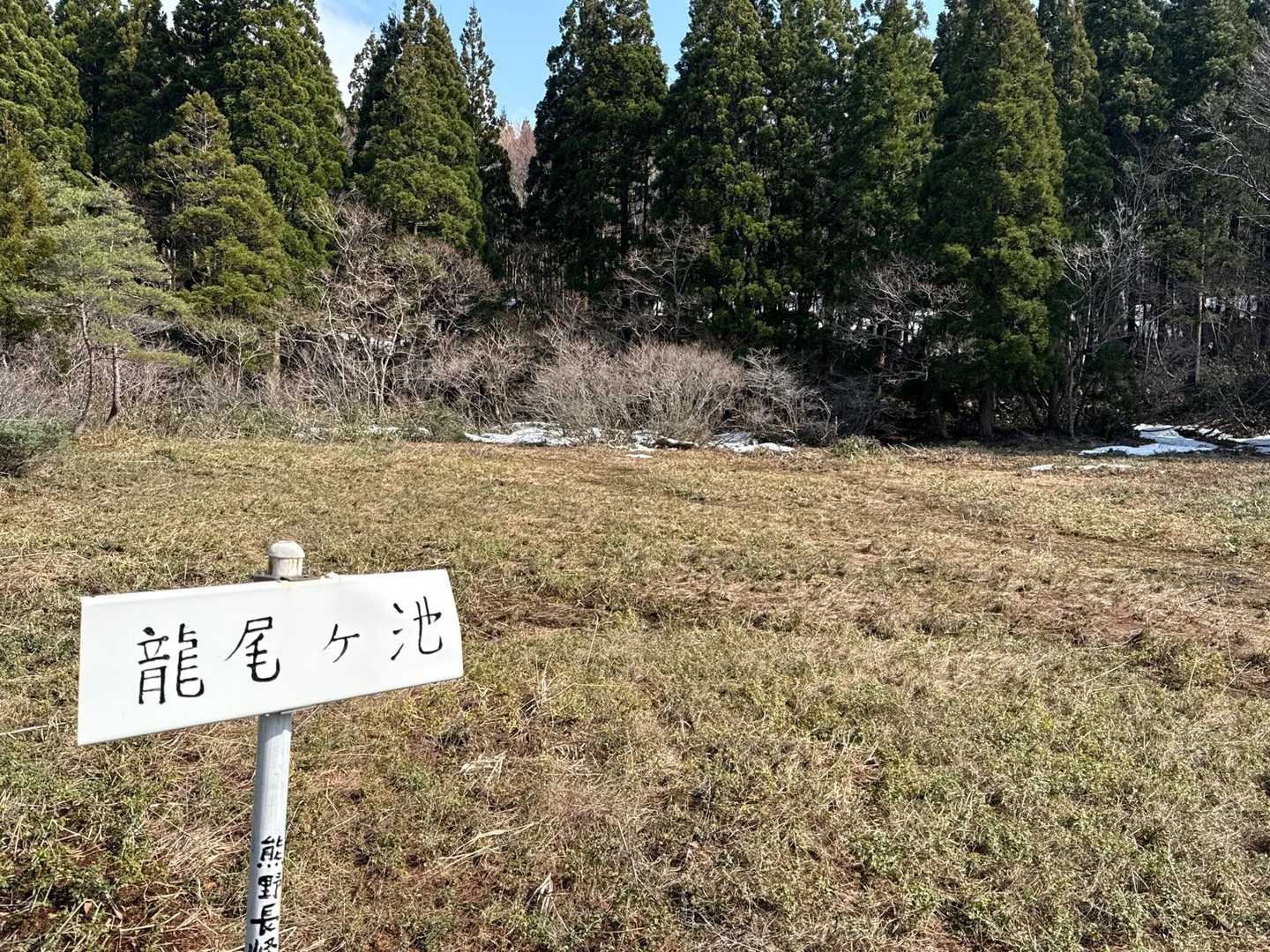 こちらは龍に尾っぽ🐉