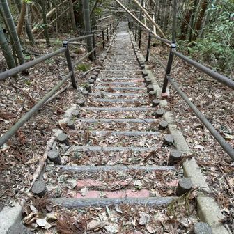 すご〜い階段　激下り
後で聞いた話し　このコース私は反時計回り🔄を選択　正しかったようです　
🔁だとこの階段登り　超キツイらしいです
当然ですが　ぴょんぴょん下る(๑･̑◡･̑๑)
