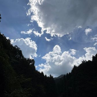 無事に下山できましたー
最後までお読み頂きありがとうございました！