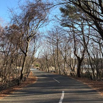 下山は全集中で
パシャリ📸なし😅
車道に戻って来ました☺️
