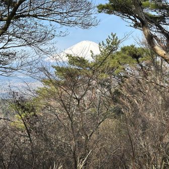 万葉公園からの富士山