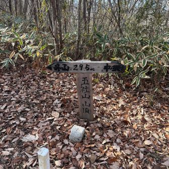 五社山山頂、往路では気付かずスルーしてしまった。