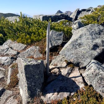 比麻良山の山頂は棒のみ🤣